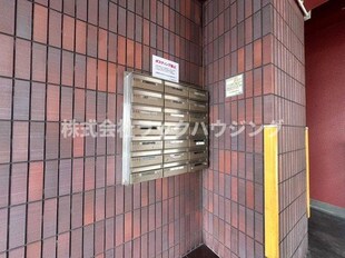 住道駅 徒歩24分 3階の物件内観写真